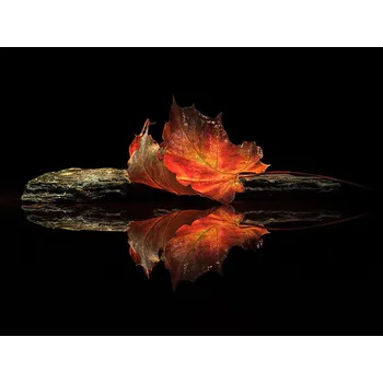 Plakát Plakát, Obraz - autumn colors, Aida Ianeva