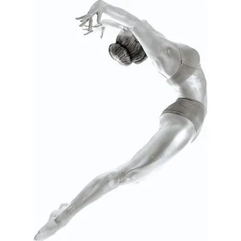 Plakát Plakát, Obraz - Flight - Gymnastics Series, Howard Ashton-Jones