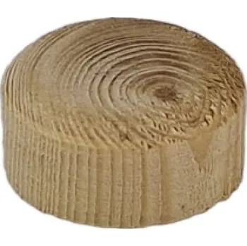 TS Vyspravovací zátka, suk 15 mm smrk