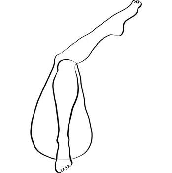 Plakát Plakát, Obraz - Legs, Studio Collection