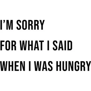 Plakát Plakát, Obraz - imsorryforwhatisaidwheniwashungry, Finlay & Noa