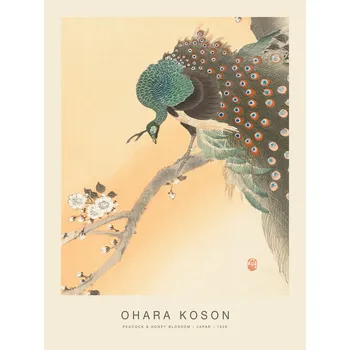 Plakát Plakát, Obraz - Peacock & Honey Blossom (Special Edition) - Ohara Koson