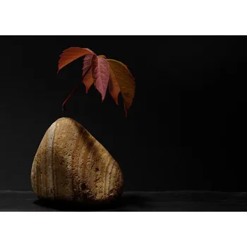 Plakát Plakát, Obraz - levitation, Thierry Lagandré (Transgressed