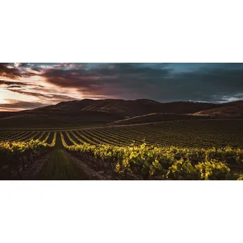 Plakát Plakát, Obraz - Vineyards, Tim Mossholder