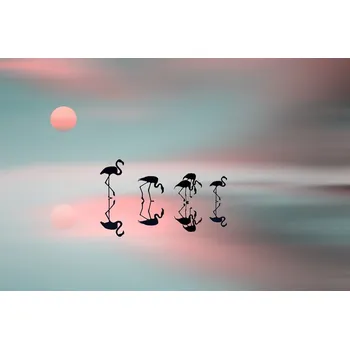 Plakát Plakát, Obraz - Family flamingos, Natalia Baras