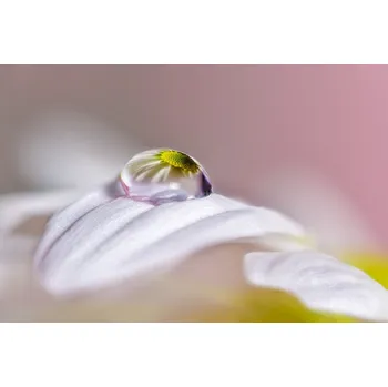 Plakát Plakát, Obraz - Magical Drop, Jesus M. Garcia