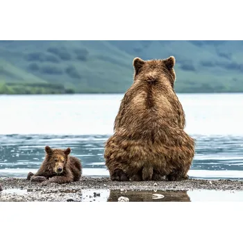 Plakát Plakát, Obraz - Opposites, Giuseppe DAmico