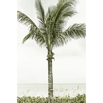 Plakát Plakát, Obraz - Palm Tree at the beach | Vintage, Melanie Viola