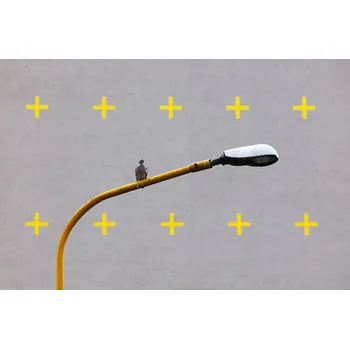 Plakát Plakát, Obraz - + + + + +