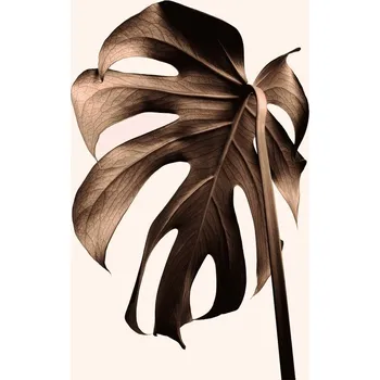 Plakát Plakát, Obraz - Monstera Gold, Studio Collection