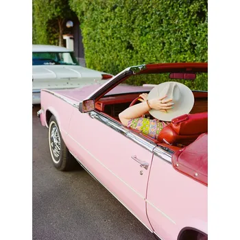 Plakát Plakát, Obraz - Pink Cadillac III, Bethany Young