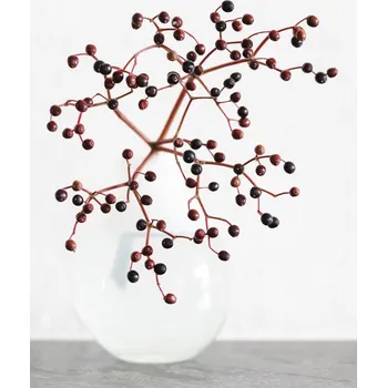 Plakát Plakát, Obraz - Vase_berries, Studio Collection