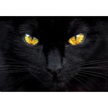 Plakát Plakát, Obraz - The hypnotist of the night, Ferdinando valverde