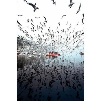 Plakát Plakát, Obraz - Limitless at Yamuna Ghat, Arun R Hegden