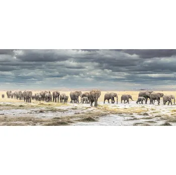 Plakát Plakát, Obraz - The March for Survival, Jeffrey C. Sink