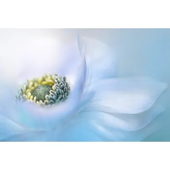 Plakát Plakát, Obraz - Flow, Jacky Parker