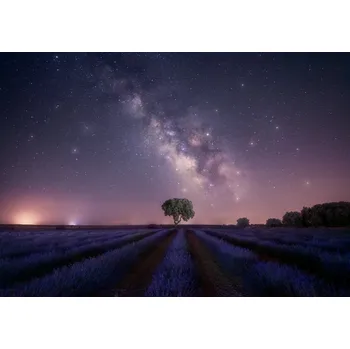 Plakát Plakát, Obraz - Lavender fields nightshot, joanaduenas