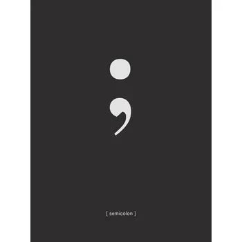 Plakát Plakát, Obraz - Semicolon, Finlay & Noa