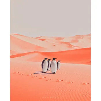 Plakát Plakát, Obraz - Warm walk, spacerocket art