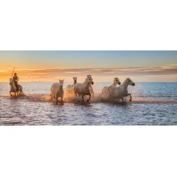 Plakát Plakát, Obraz - Camargue Horses II, Antoni Figueras
