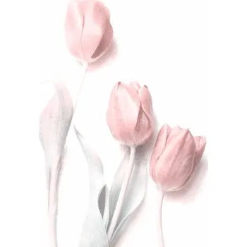 Plakát Plakát, Obraz - Sweet Pink, Delphine Devos