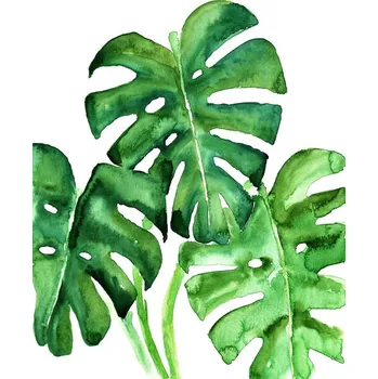 Plakát Plakát, Obraz - Watercolor monstera leaves, Blursbyai