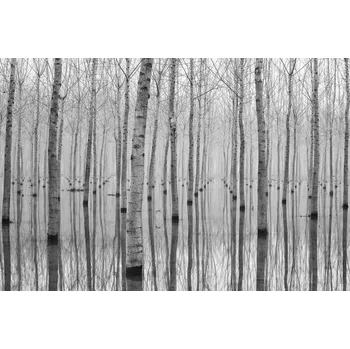 Plakát Plakát, Obraz - Novembre 2014, Aglioni Simone