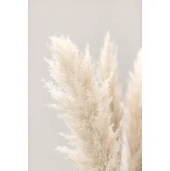 Plakát Plakát, Obraz - Pampas Grass Grey 03, Studio Collection