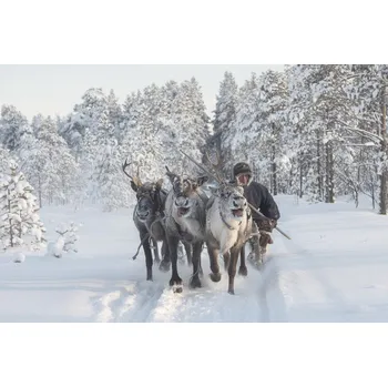 Plakát Plakát, Obraz - Jigori, Marcel Rebro