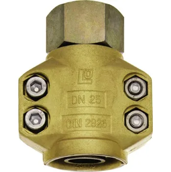 Fitinka Lüdecke Šroubení pára, ocel 2"ix50 mm