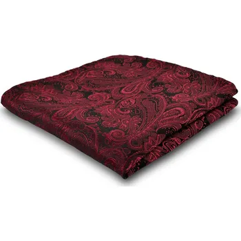 Kravata Stylový kapesníček do saka se vzorem - Tailor Toki