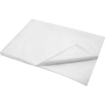 Prostěradlo 2P SERVIS Jednorázové prostěradlo 80x200cm 50g 80x200 cm 100% Polypropylen bílá