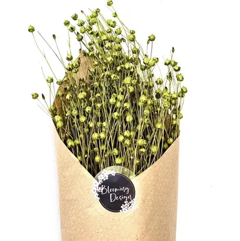 umělá květina Sušený len limetkový/světle zelený, kytice/svazek 50g