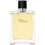 Hermès Terre D'Hermes toaletní voda pro muže, 100 ml