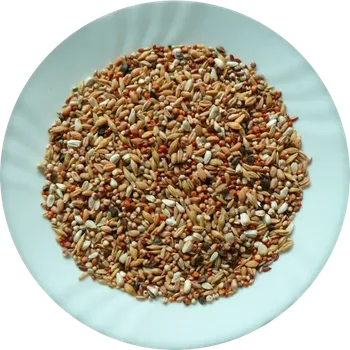 Krmivo pro ptáka Avicentra Holub super dieta (Odlehčená směs pro holuby)