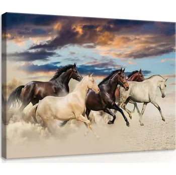 Obraz Postershop Obraz na plátne: Kone (2) - 100x75 cm