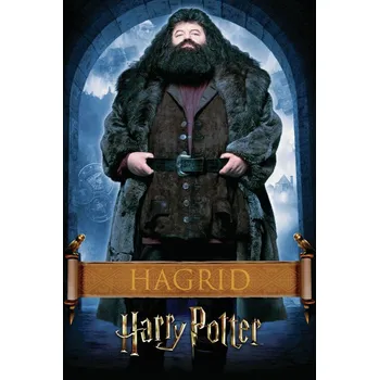 Plakát Plakát, Obraz - Harry Potter - Hargrid