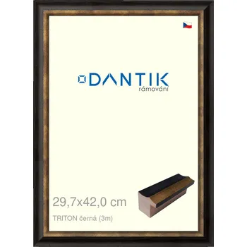 Rám na obraz DANTIK rámeček 29,7x42 | TRITON černá (Plexi Čiré) (Vyrobeno s láskou u nás v DANTIKU)