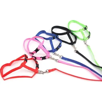 Postroj pro psa Surtep Animals Vodítko/Postroj nylonové kšíry Classic 120cm Barva: Zelená