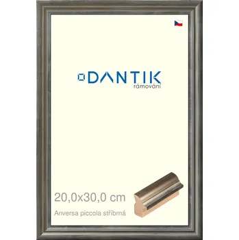 Rám na obraz DANTIK rámeček 20x30 | ANIVERSA piccola stříbrná (Sklo Čiré) (Vyrobeno s láskou u nás v DANTIKU)