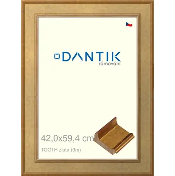 Rám na obraz DANTIK rámeček 42x59,4 | TOOTH zlatá (Plexi Čiré) (Vyrobeno s láskou u nás v DANTIKU)