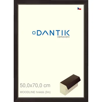 Rám na obraz DANTIK rámeček 50x70 | WOODLINE hnědá (Plexi Čiré) (Vyrobeno s láskou u nás v DANTIKU)