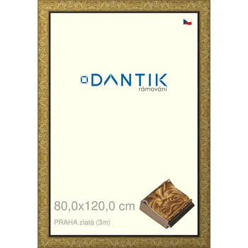 Rám na obraz DANTIK rámeček 80x120 | PRAHA zlatá (Plexi Čiré) (Vyrobeno s láskou u nás v DANTIKU)