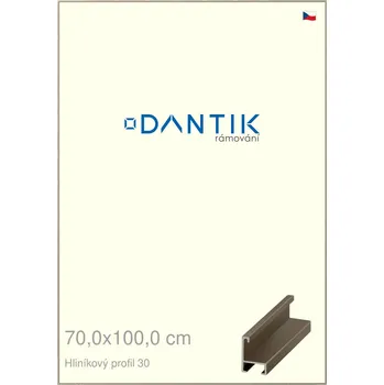 Rám na obraz DANTIK rámeček 70x100 | ALU profil 6030 champagne (Plexi Čiré) (Vyrobeno s láskou u nás v DANTIKU)