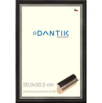 Rám na obraz DANTIK rámeček 20x30 | ANIVERSA piccola černá AG (Sklo Čiré) (Vyrobeno s láskou u nás v DANTIKU)