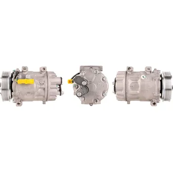 Kompresor klimatizace Kompresor, klimatizace DRI 700510573