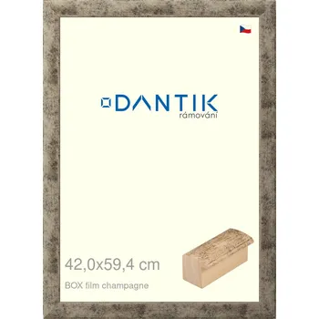 Rám na obraz DANTIK rámeček 42x59,4 | BOX film champagne (Plexi Čiré) (Vyrobeno s láskou u nás v DANTIKU)