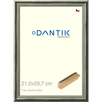 Rám na obraz DANTIK rámeček 21x29,7 | Y-ka černá linka (Sklo Čiré) (Vyrobeno s láskou u nás v DANTIKU)