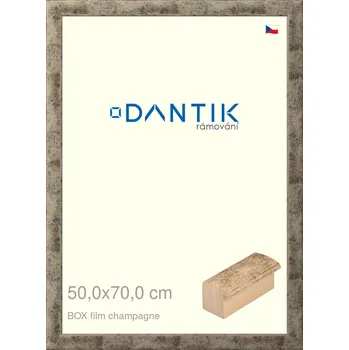 Rám na obraz DANTIK rámeček 50x70 | BOX film champagne (Plexi Čiré) (Vyrobeno s láskou u nás v DANTIKU)