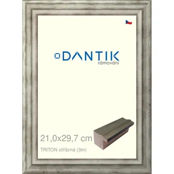 Rám na obraz DANTIK rámeček 21x29,7 | TRITON stříbrná (Sklo Čiré) (Vyrobeno s láskou u nás v DANTIKU)